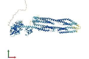 Protein Structure (PS) image for Actinin, alpha 3 (ACTN3) (AA 1-900) protein (His tag) (ABIN7562700)
