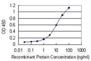 Detection limit for recombinant GST tagged HOOK1 is 0. (HOOK1 antibody  (AA 632-728))