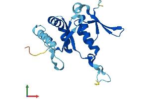 Protein Structure (PS) image for Ribosomal Protein S7 (RPS7) (AA 1-194) protein (His tag) (ABIN7551568)