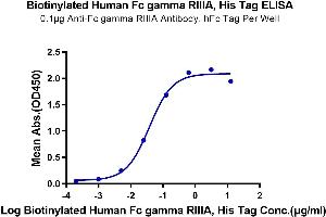 Immobilized Anti-Fc gamma RIIIA Antibody, hFc Tag at 1 μg/mL (100 μL/Well) on the plate. (FCGR3A Protein (His-Avi Tag,Biotin))