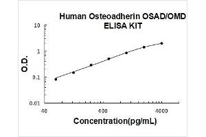 Osteomodulin (OMD) ELISA Kit