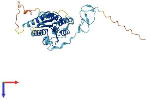 GTF2H3 Protein (AA 1-308) (His tag)