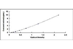 Typical standard curve (Retinoic Acid Receptor alpha ELISA Kit)