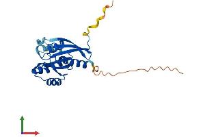 AlphaFold protein structure predicition of Human Recombinant RAB43 Protein, UniprotID Q86YS6