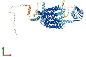 AlphaFold protein structure predicition of Human Recombinant SV2B Protein, UniprotID Q7L1I2