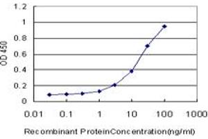 Detection limit for recombinant GST tagged NHLH2 is approximately 0. (NHLH2 antibody  (AA 36-135))
