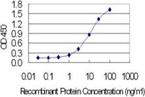 Detection limit for recombinant GST tagged BATF3 is 0. (BATF3 antibody  (AA 1-127))