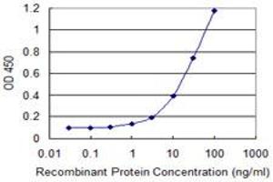 Detection limit for recombinant GST tagged ARNT2 is 0. (ARNT2 antibody  (AA 1-716))