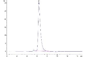 The purity of Biotinylated Human SLAMF7 is greater than 95 % as determined by SEC-HPLC. (SLAMF7 Protein (AA 23-226) (His-Avi Tag,Biotin))
