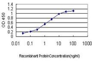 Detection limit for recombinant GST tagged CDX4 is approximately 0. (CDX4 antibody  (AA 71-170))