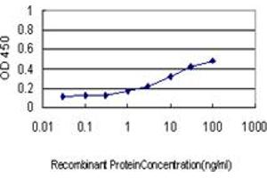 Detection limit for recombinant GST tagged SYP is approximately 1ng/ml as a capture antibody. (Synaptophysin antibody  (AA 1-313))
