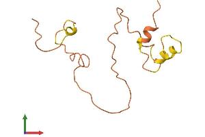 AlphaFold protein structure predicition of Human Recombinant KRTAP1-4 Protein, UniprotID P0C5Y4 (KRTAP1-4 Protein (AA 1-121) (His tag))
