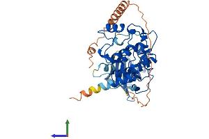 AlphaFold protein structure predicition of Human Recombinant MYLK4 Protein, UniprotID Q86YV6