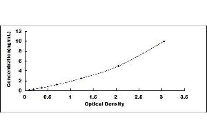 Typical standard curve
