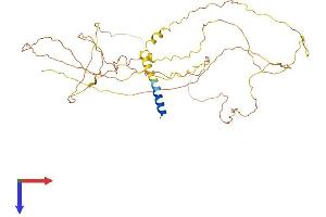 AlphaFold protein structure predicition of Human Recombinant GPATCH2L Protein, UniprotID Q9NWQ4 (GPATCH2L Protein (AA 1-482) (His tag))