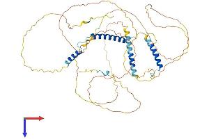 AlphaFold protein structure predicition of Mouse Recombinant Cfap97 Protein, UniprotID Q6ZPR1 (CFAP97/KIAA1430 Protein (AA 1-541) (His tag))