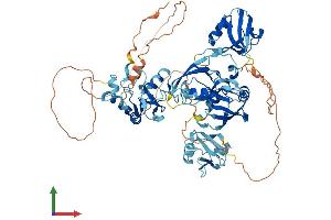 AlphaFold protein structure predicition of Mouse Recombinant Lnx1 Protein, UniprotID O70263 (LNX1 Protein (AA 1-728) (His tag))