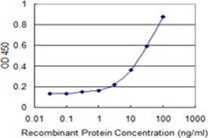 Detection limit for recombinant GST tagged ALLC is 1 ng/ml as a capture antibody. (Allantoicase antibody  (AA 235-344))