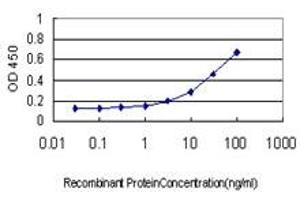 Detection limit for recombinant GST tagged GUCY2C is approximately 0. (GUCY2C antibody  (AA 24-133))