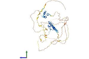 AlphaFold protein structure predicition of Human Recombinant DMRTA1 Protein, UniprotID Q5VZB9
