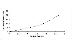 Typical standard curve (CHI3L2 ELISA Kit)