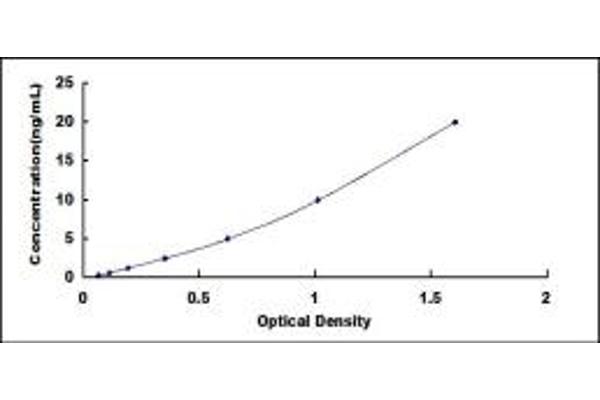 MCT3 ELISA Kit