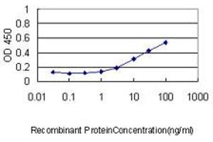 Detection limit for recombinant GST tagged CASQ2 is approximately 0. (CASQ2 antibody  (AA 20-399))