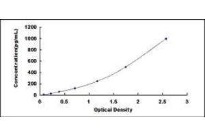 Typical standard curve (FGF10 ELISA Kit)