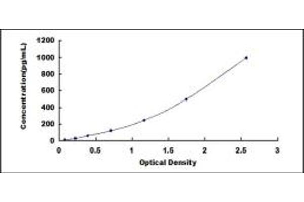 FGF10 ELISA Kit