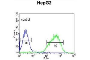 Flow Cytometry (FACS) image for anti-Histone Cluster 1, H2al (HIST1H2AL) antibody (ABIN3002161)