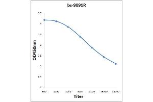 Antigen: 2 µg/100 µL  Primary: Antiserum, 1:500, 1:1000, 1:2000, 1:4000, 1:8000, 1:16000, 1:32000;  Secondary: HRP conjugated Rabbit Anti-Goat IgG at 1: 5000;  TMB staining Read the data in Microplate Reader by 450nm. (HNRNPA2B1 antibody)