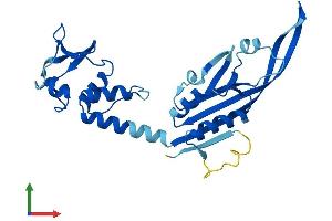 AlphaFold protein structure predicition of Human Recombinant KCTD21 Protein, UniprotID Q4G0X4