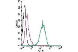Cell surface detection of Renin Receptor in live intact human THP-1 monocytic leukemia cells: (black line) Cells. (ATP6AP2 antibody  (Extracellular, N-Term))