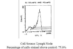 Rat anti CD62L (L-Selectin, LECAM-1) MEL-14 (L-Selectin antibody)