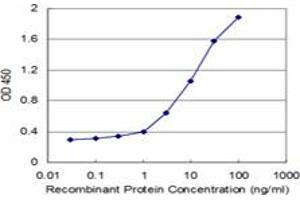 Detection limit for recombinant GST tagged HAX1 is approximately 0. (HAX1 antibody  (AA 76-174))