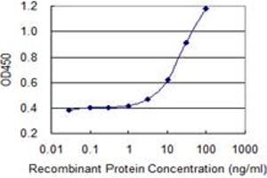 Detection limit for recombinant GST tagged PRKDC is 1 ng/ml as a capture antibody. (PRKDC antibody  (AA 4019-4128))