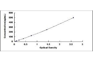 Typical standard curve (IL23A ELISA Kit)