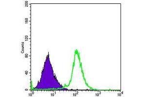 Flow Cytometry (FACS) image for anti-Retinol Binding Protein 4, Plasma (RBP4) antibody (ABIN969380)