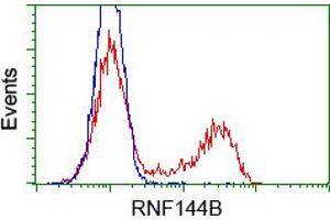 HEK293T cells transfected with either pCMV6-ENTRY RNF144B (RC209302) (Red) or empty vector control plasmid (Blue) were immunostained with anti-RNF144B mouse monoclonal (ABIN2453612), and then analyzed by flow cytometry. (RNF144B antibody  (AA 1-256))