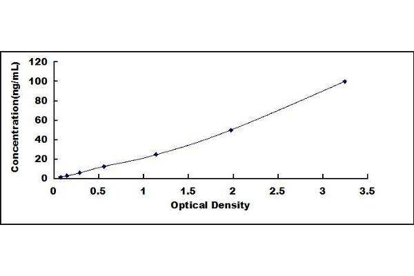 MX1 ELISA Kit