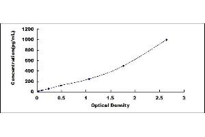 Typical standard curve (alpha Taxilin ELISA Kit)