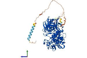 AlphaFold protein structure predicition of Human Recombinant GLCE Protein, UniprotID O94923 (GLCE Protein (AA 1-617) (His tag))