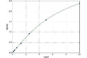 Toll-Like Receptor 1 (TLR1) ELISA Kit