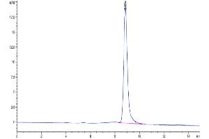 The purity of Mouse B7-H3 is greater than 95 % as determined by SEC-HPLC. (CD276 Protein (CD276) (AA 29-248) (His tag))