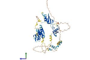 AlphaFold protein structure predicition of Human Recombinant STAU2 Protein, UniprotID Q9NUL3 (Double-stranded RNA-binding protein Staufen homolog 2 (STAU2) (AA 1-570) protein (His tag))