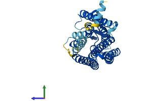 AlphaFold protein structure predicition of Human Recombinant OR52A1 Protein, UniprotID Q9UKL2 (OR52A1 Protein (AA 1-312) (His tag))