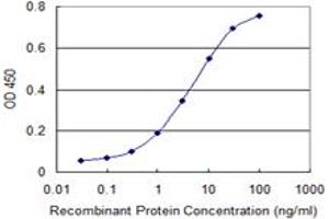 Detection limit for recombinant GST tagged SORT1 is 0. (Sortilin 1 antibody  (AA 203-299))