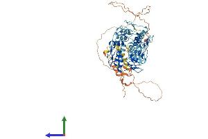 Protein Structure (PS) image for Zinc Finger Protein 256 (ZNF256) (AA 1-627) protein (His tag) (ABIN7545793)