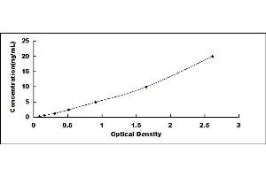 Typical standard curve (MMP12 ELISA Kit)