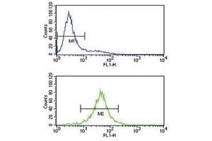 IL-10 antibody flow cytometry analysis of Jurkat cells (bottom histogram) compared to a negative control (top histogram). (IL-10 antibody  (AA 27-53))